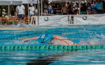 Rev Up the Fan Experience: How the Piaggio Ape is Changing the Game at Sporting Events