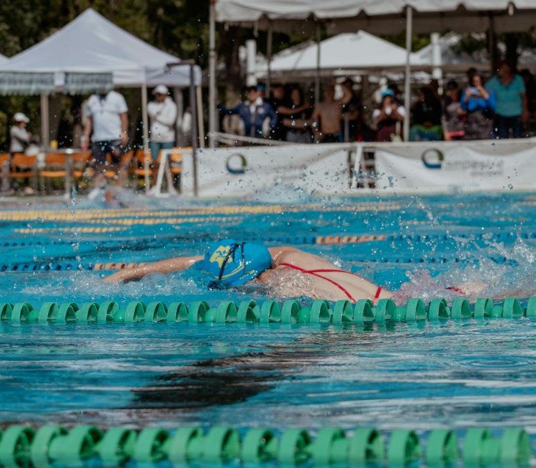 Rev Up the Fan Experience: How the Piaggio Ape is Changing the Game at Sporting Events